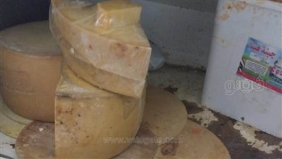 ضبط 11 طن سلع غذائية فاسدة داخل معمل إنتاج جبن بالدقهلية