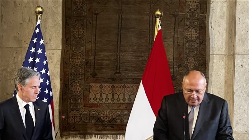 سامح شكري ونظيره
