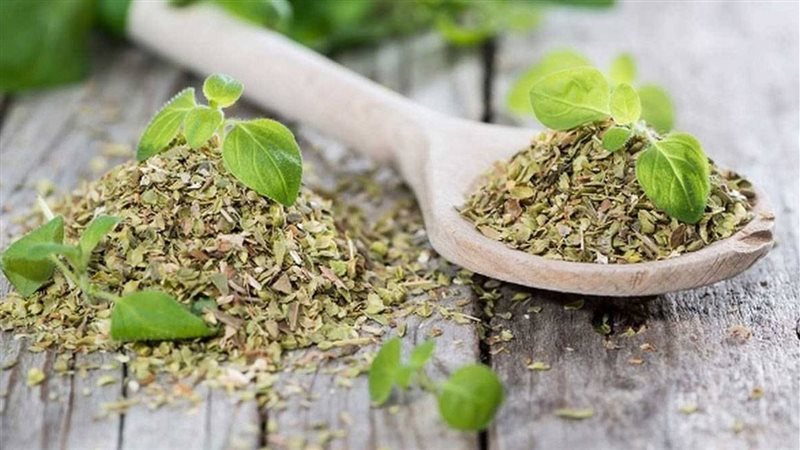 البردقوش وفوائده،