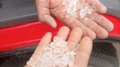 سقوط ثلوج على العامرية غرب الإسكندرية (صور)