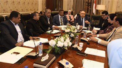 نقل البرلمان توصي بالتنسيق لإزالة أعمال محور شرق الدلتا