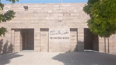 متحف التمساح بأسوان يحتفل بالذكرى 12 على افتتاحه