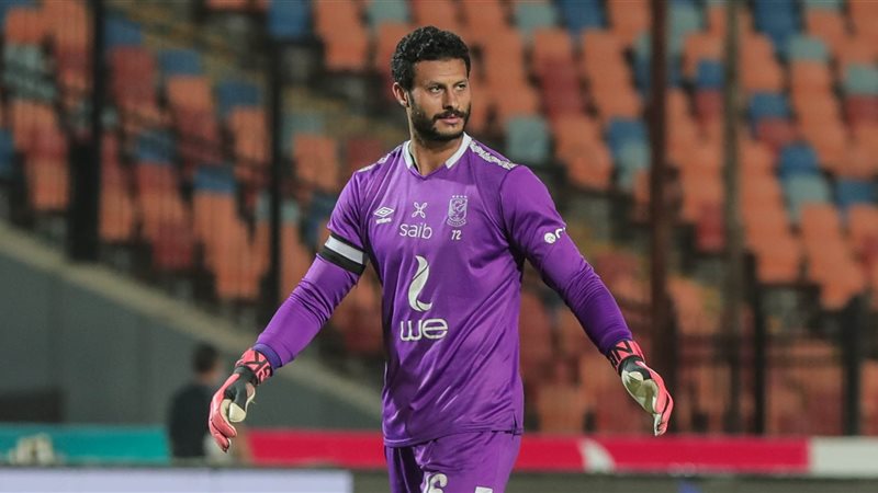 محمد الشناوي، فيتو