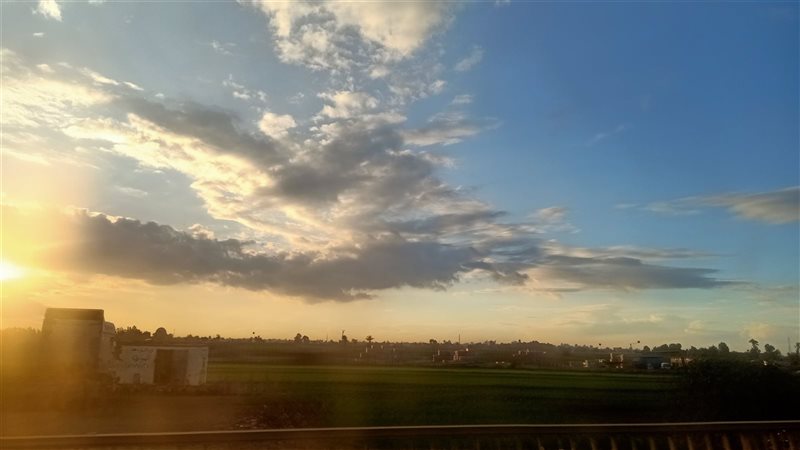 طقس الدقهلية، فيتو