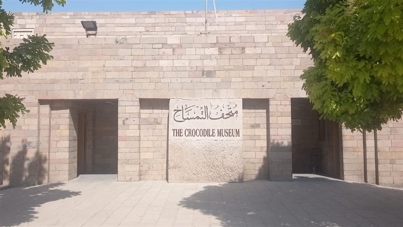 متحف التمساح 