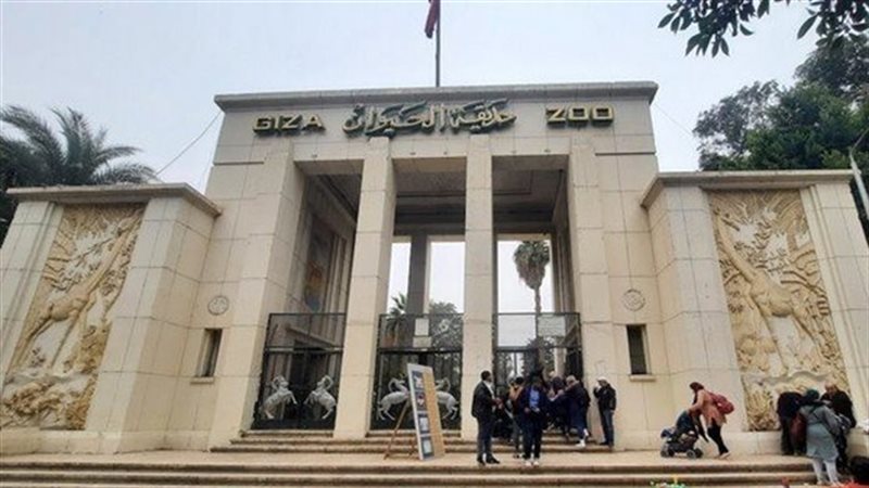 سعر تذكرة حديقة الحيوان،فيتو