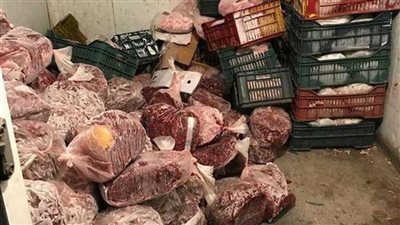 ضبط نصف طن لحوم وأسماك غير صالحة للاستهلاك الآدمي بالمنوفية