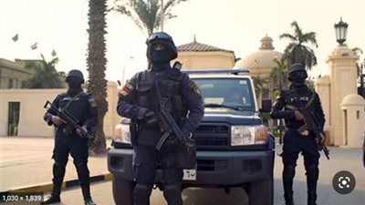 30 قضية مخدرات وأسلحة نارية، جهود حملة أمنية بالقليوبية 