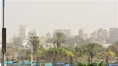 رياح مثيرة للأتربة تضرب محافظات مصر (صور)