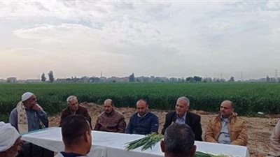 زراعة الشرقية: تنفيذ يوم حقلي إرشادي بقرية صفيطة 