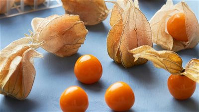  فوائد الحرنكش، لمرضى السكر والقلب وكبار السن