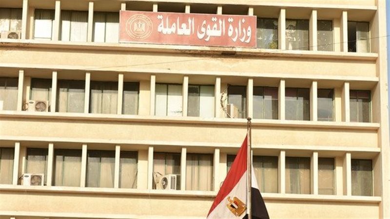 وزارة القوي العاملة،