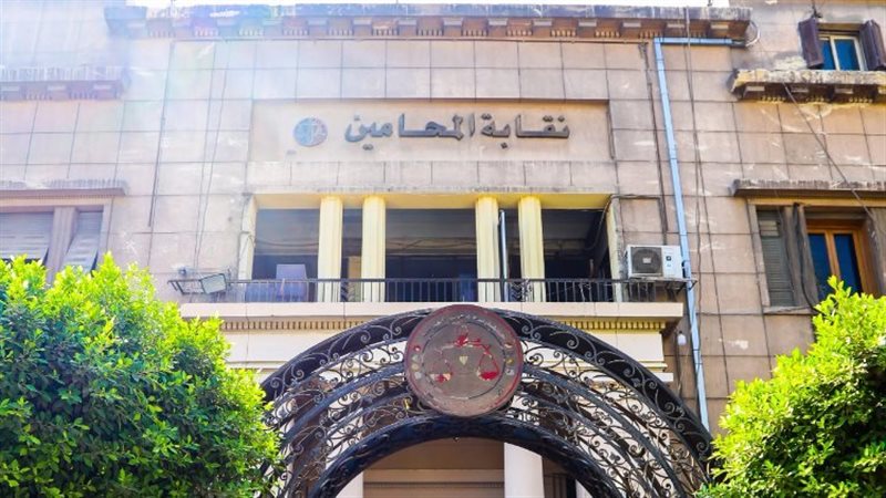 نقابة المحامين، فيتو