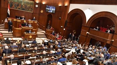  لهذه الأسباب.. لا تعتبر استقالة النائب من مجلس الشيوخ نهائية 