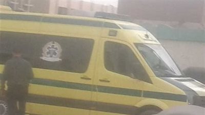 الاستماع لأقوال زملاء ضحية صومعة الغلال بكرداسة