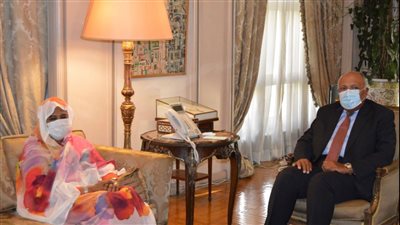 أفريقية النواب: لقاء وزير الخارجية مع نظيرته السودانية يدعم العلاقات بين البلدين 