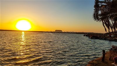 جزيرة فطناس بسيوة.. هنا خيال الطبيعة وواحة الغروب l فيديو وصور 