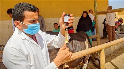 توقيع الكشف الطبي على 421 حالة بقافلة جامعة المنيا 