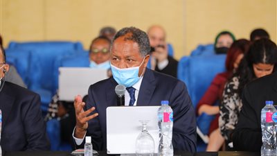 «الأغذية العالمي»: مصر قامت بجهد كبير في مجال الأمن الغذائي خلال جائحة كورونا