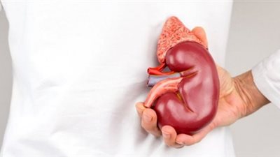 مدير معهد الكبد يحذر: السمنة تسبب تليف الكبد والإصابة بالأورام