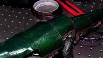 عالم الحروب.. جلد صناعي في كوريا يقلب الموازين العسكرية|فيديو 