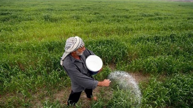 الفلاح المصرى
