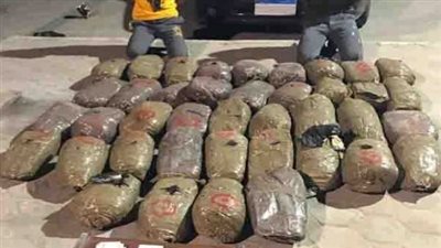 سقوط اثنين من العناصر الإجرامية ببورسعيد وبحوزتهما 80 كيلو بانجو 