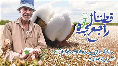 قطاع الأعمال: بيع 983 قنطار قطن في أحدث المزادات في الفيوم بسعر 3865 جنيها 