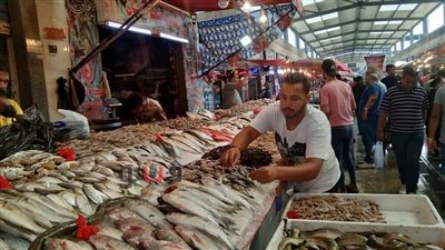  أسعار الأسماك اليوم السبت 11-9-2021 في الدقهلية