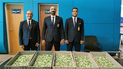 ضبط سائحة روسية حاولت تهريب أدوية بشرية بمطار الغردقة