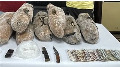 حبس تشكيلين عصابيين 4 أيام بتهمة إدارة بؤرتين لتجارة المخدرات بالدقهلية 