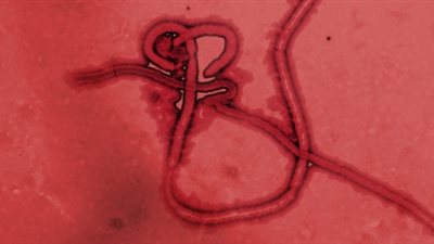 مدينة عراقية تسجل أول حالة وفاة بمرض خطير