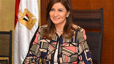 الهجرة تطلق منصة إلكترونية لجمع تبرعات المصريين بالولايات المتحدة