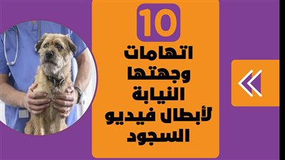 10 اتهامات وجهتها النيابة لأبطال فيديو السجود للكلب | انفو جراف