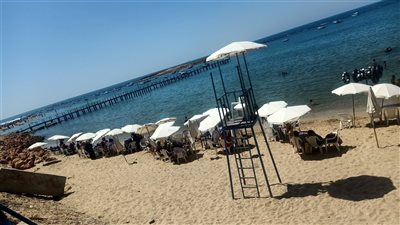 حالة الطقس في الإسكندرية غدا الثلاثاء ١٤-٩-٢٠٢١