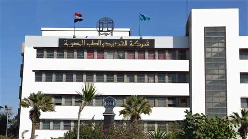 شركة الحديد والصلب