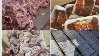 ضبط ٥ أطنان هياكل دجاج فاسدة قبل إعادة تصنيعها وبيعها داخل مجزر بالإسماعيلية