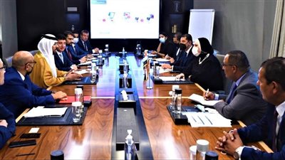 وزيرة الصناعة تبحث مع شركات إماراتية ضخ استثمارات بمصر في مجالات الطاقة الشمسية