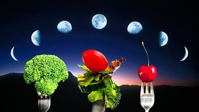 ريجيم القمر.. حيلة سحرية لخسارة 2 كيلو جرام يوميًّا