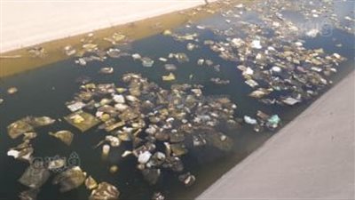 بعد تبطينها.. القمامة تشوه ترعة سجين الكوم بالغربية 