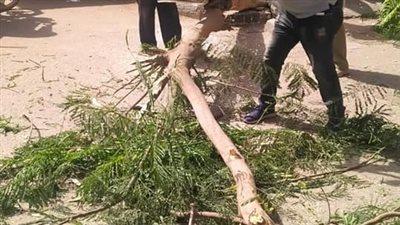 حملة مكبرة لرفع كفاءة النظافة فى الأحياء بالجيزة