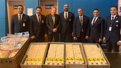داخل جيب سحري.. ضبط أدوية بحوزة راكب في مطار الغردقة