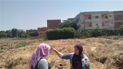 وزيرة البيئة تعلن بدء منظومة مواجهة نوبات تلوث الهواء الحادة 2021