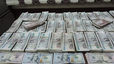 سقوط تشكيلات عصابية لغسل الأموال والنصب والاتجار بالنقد الأجنبي | فيديو