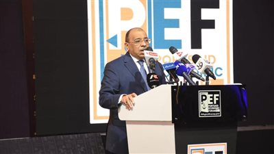 وزير التنمية المحلية: 337 مليار جنيه حجم استثمارات الدولة في بورسعيد