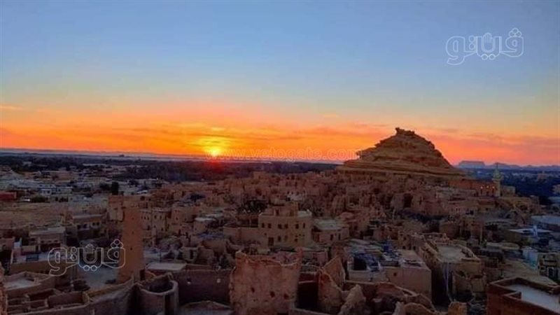 شالي