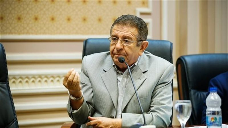 النائب يسري المغازي،