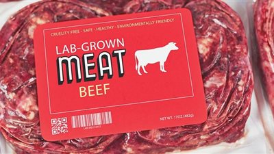 زراعة اللحوم، علماء يكشفون أسرار تجارب المختبرات ودور إسرائيل فى المشروع