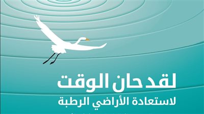 اليوم العالمي للأراضي الرطبة، أهميتها البيئية بالنسبة للتغيرات المناخية 