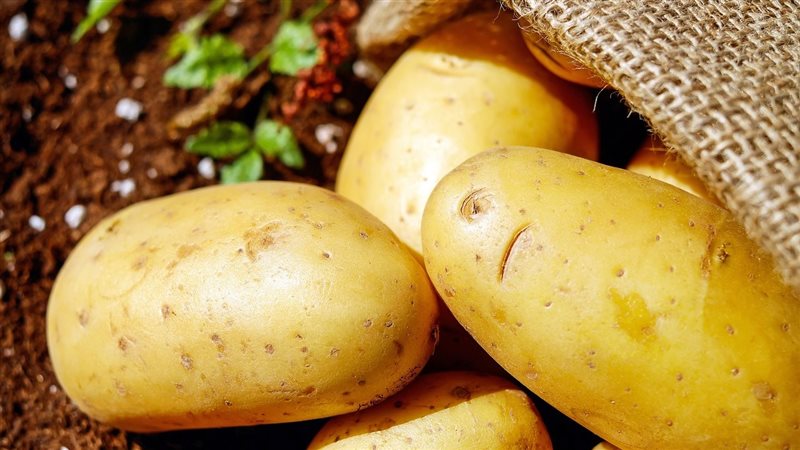 البطاطس، فيتو